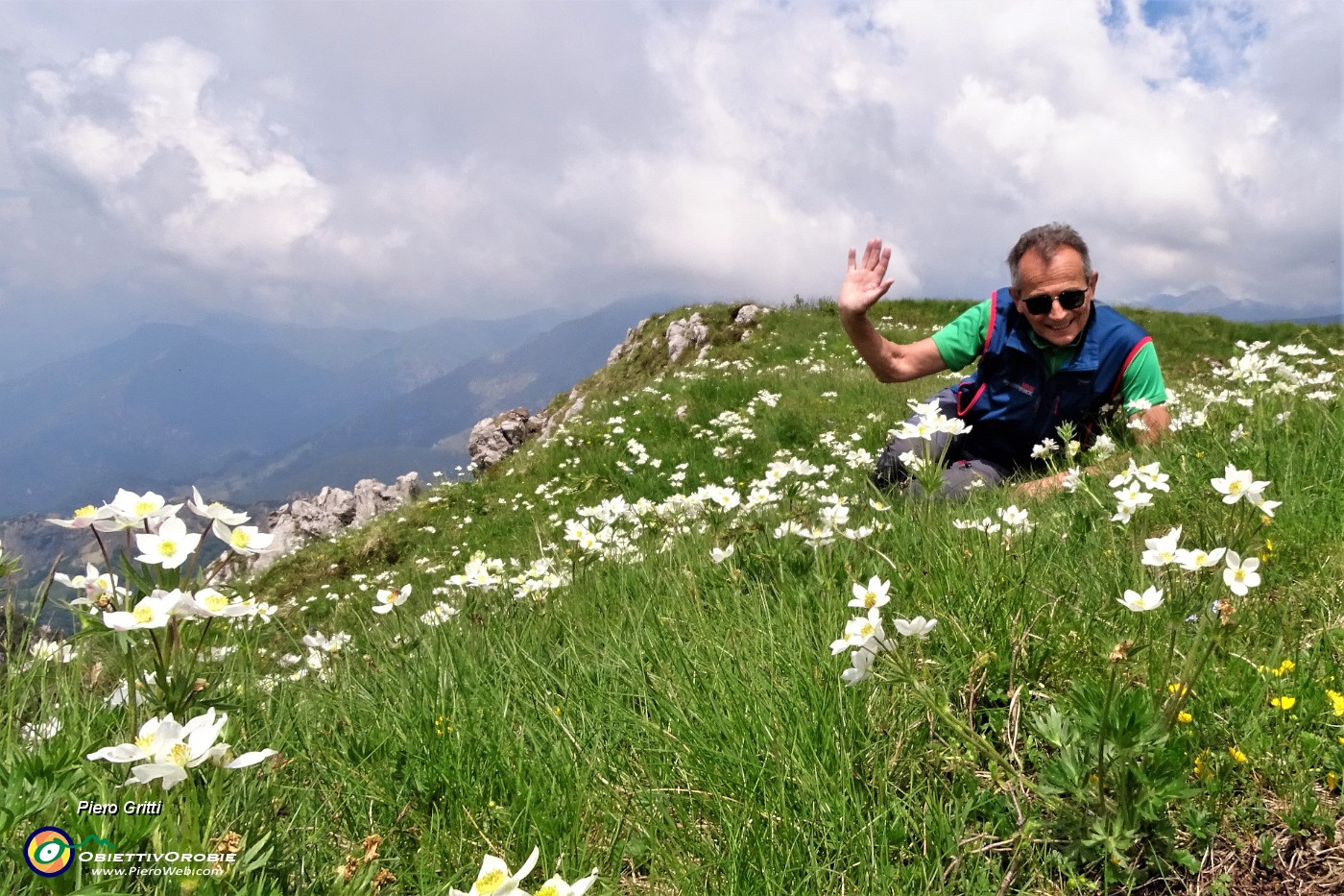 60 Estese fioriture di anemone narcissino in vetta alla Corna Grande.JPG